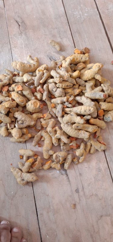 Turmeric from Pakistan